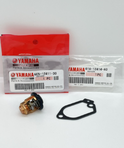 thermostats & cooling system parts