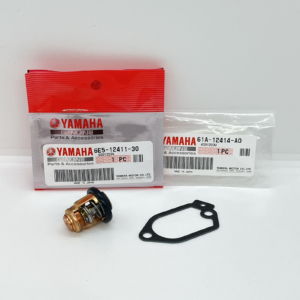 thermostats & cooling system parts